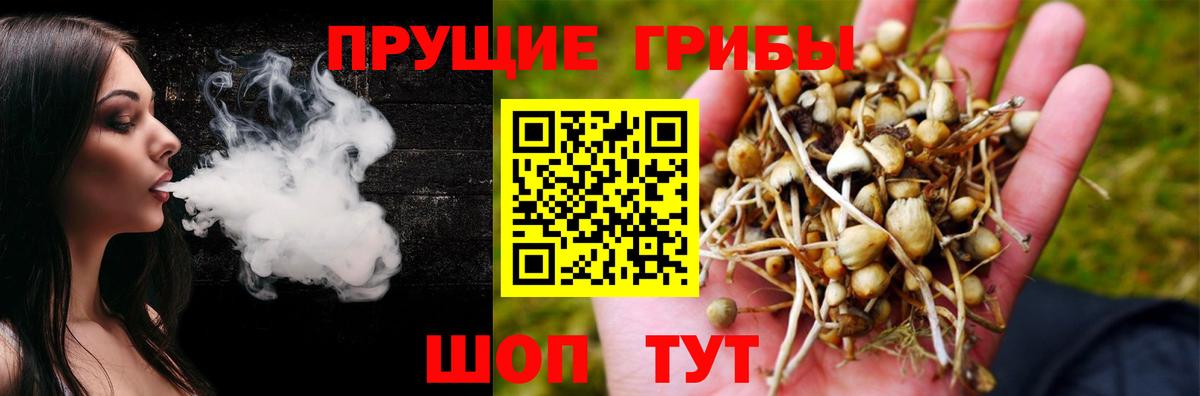 Галлюциногенные грибы Psilocybine cubensis Набережные Челны